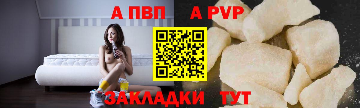 A-PVP СК Шадринск