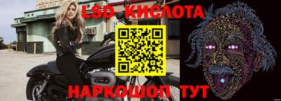 амф Новозыбков