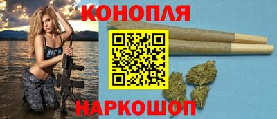 амф Новозыбков