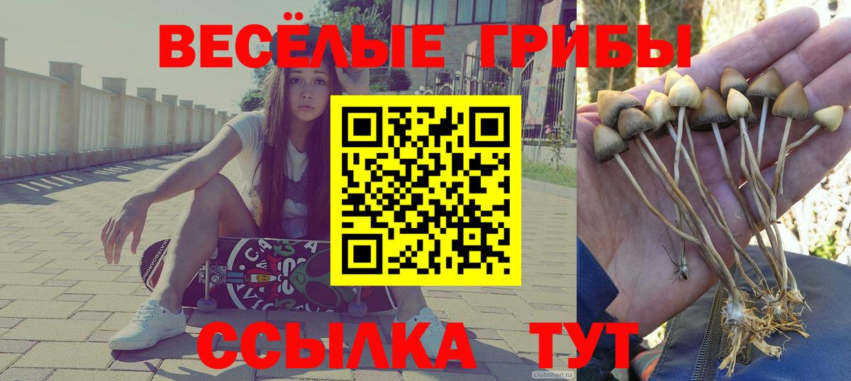 Галлюциногенные грибы Cubensis  Вход с VPN  наркотики  Шадринск 