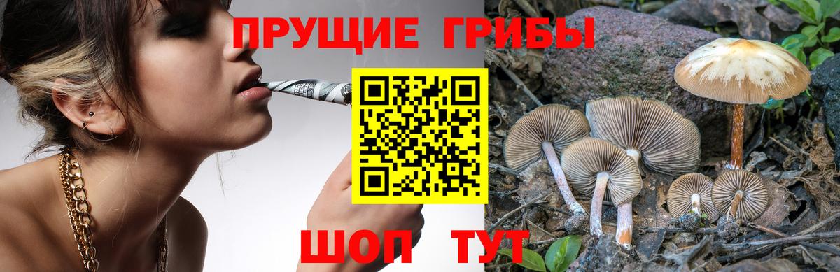 Галлюциногенные грибы Cubensis Шадринск